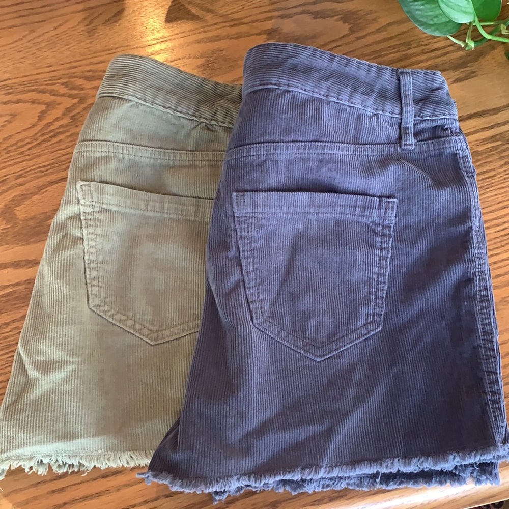 Shorts Bundle!